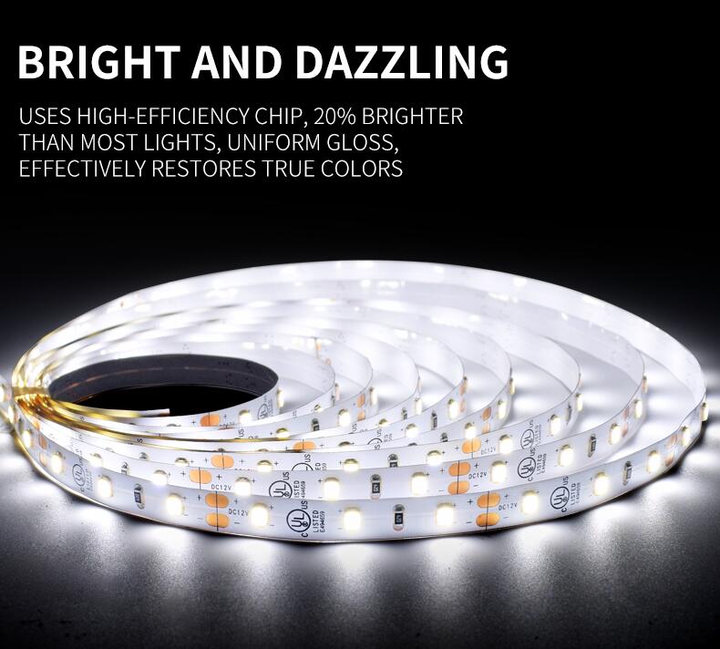 60 LED/m Single Color Led Tapes