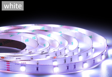 12V 24V LED Strip For Commercial Signage