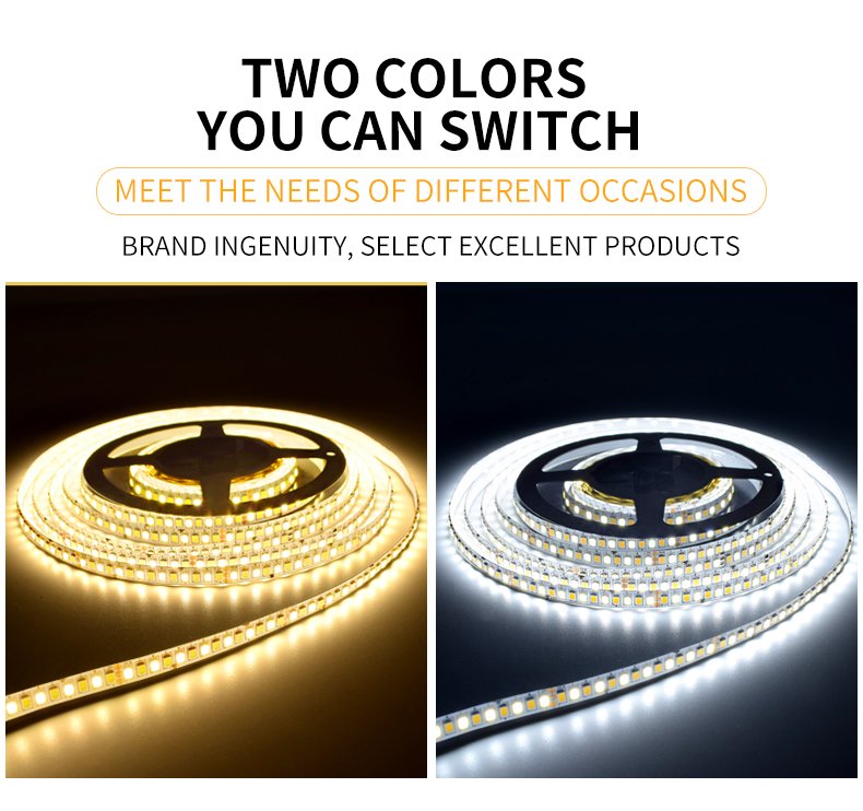 Dual Color LED Strip Lights 240 LEDs