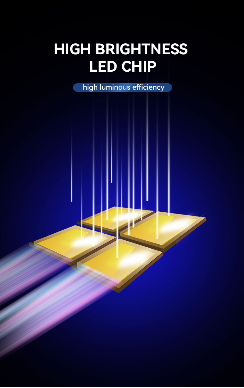 Waterproof 2835 LED Single Color Strip Lights