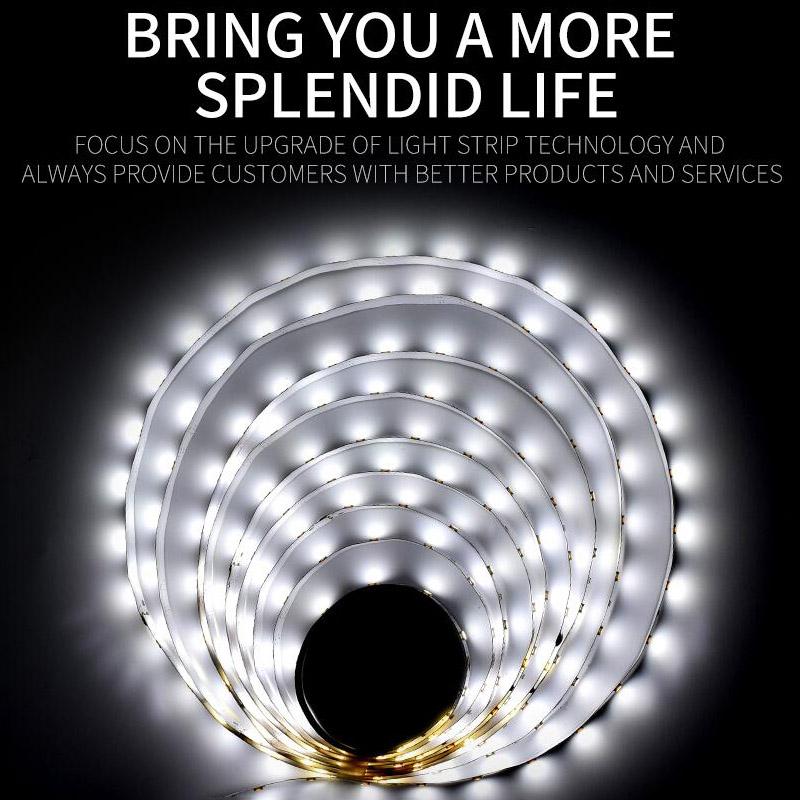  Flexible SMD 2835 LED Strip Light 60 LEDs