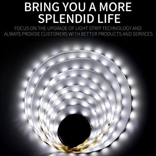 Flexible SMD 2835 LED Strip Light 60 LEDs